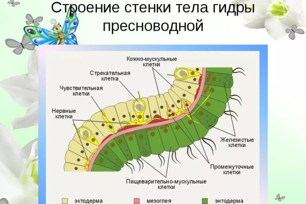 Мега зеркала тор онион мориарти кракен